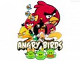 /album/galeria-de-fotos-camisetas/angry5-jpg/